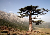 панорамы аладаглара