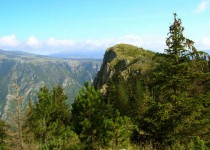 жабляк
