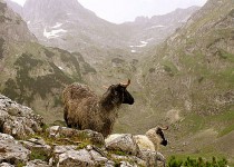панорамы дурмитора
