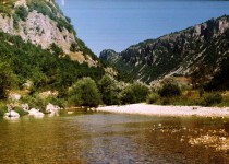 комарница