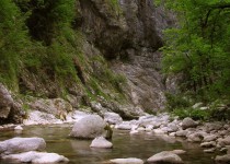 каньон комарница
