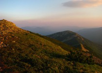 хребет горганы