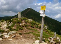 указатель на говерлу