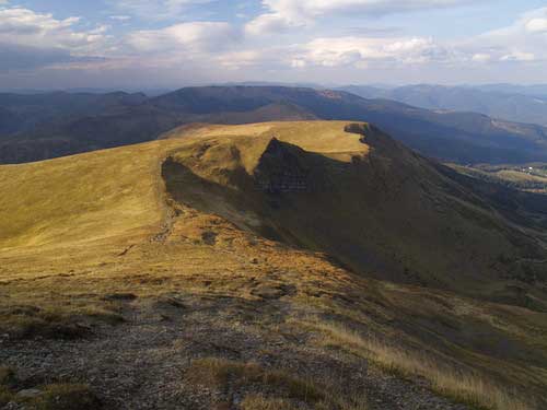 говерла