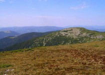 карпатская полонина