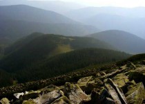 горганы