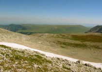 альпийские луга