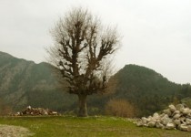 ликийская тропа