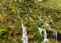 сууч хан