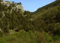 черная река