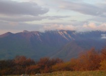 караби