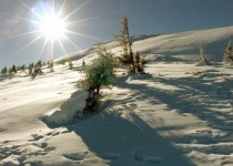 зимнее солнце в горганах