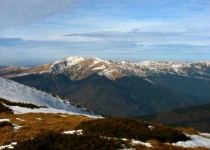 карпатские полонины