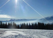 заснеженные карпатские полонины