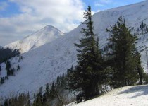 снежные карпаты