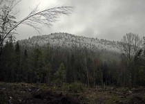карпатская вершина