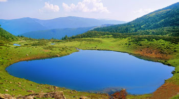 бребенескул