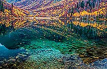 осенний Кардывач осенний Кардывач