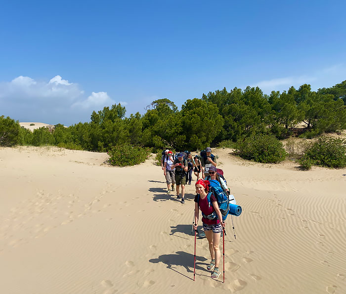 дорога в дюнах