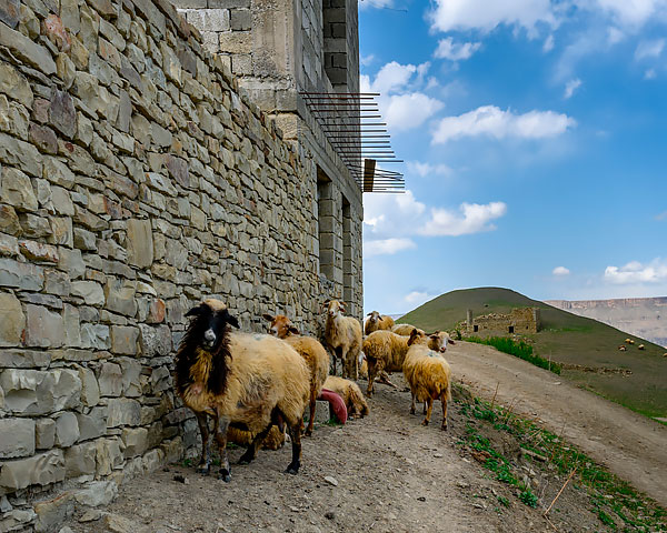 в одном из сел по пути