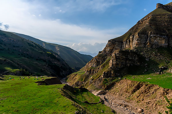 поляна возле ручья