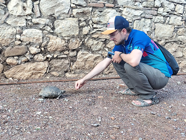 черепаха в Олимпосе черепаха в Олимпосе