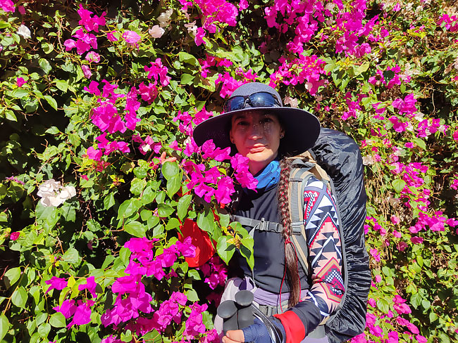 на фоне цветов на фоне цветов