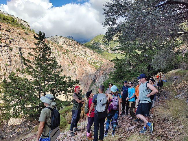 над Долиной Бабочек над Долиной Бабочек
