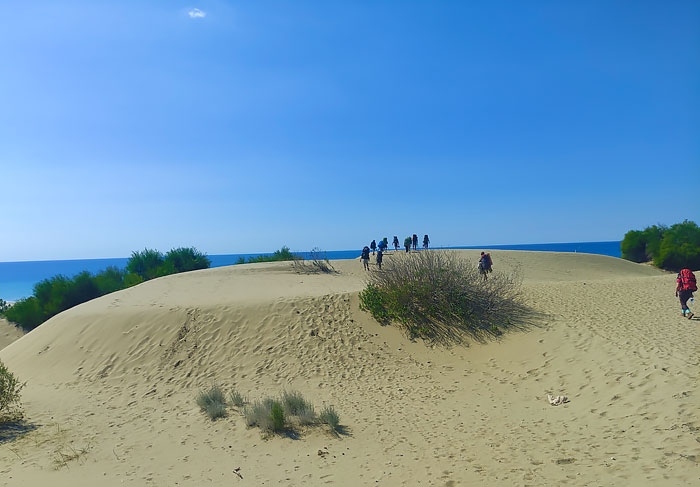 в песках пляжа Патара