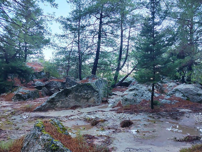 сегодняшняя стоянка