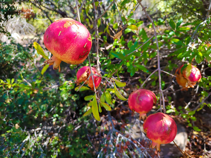 стоянка в гранатах