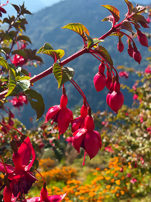 как добраться в приэльбрусье