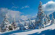 обеденное солнце обеденное солнце