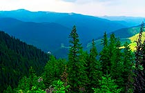 село Шепот село Шепот