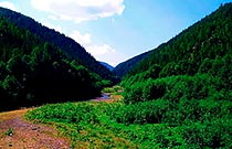 долина возле мармароша долина реки возле мармароша
