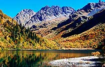 Кардывач Кардывач