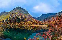 осенние краски осенние краски