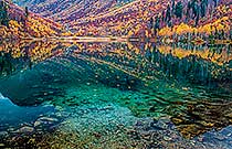 осенний Кардывач осенний Кардывач