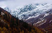 зима и осень зима и осень