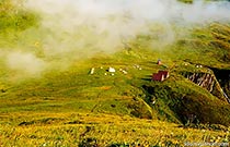 Бзерпинский карниз Бзерпинский карниз