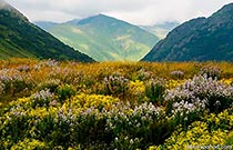 Мраморная вершина Мраморная