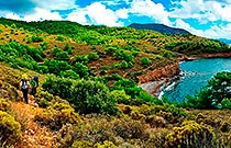 Карийская тропа - многочисленные тропки Карийская тропа - многочисленные тропки