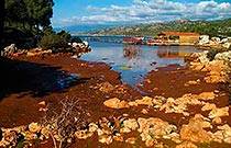 средиземное море гавани средиземья