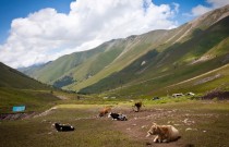 к Балк Баши по дороге к перевалу Балк Баши